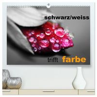 Produktbild: schwarz/wei&szlig; trifft farbe (hochwertiger Premium Wandkalender 2026 DIN A2 quer), Kunstdruck in Hochglanz