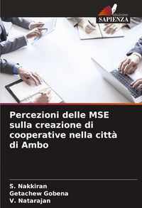 Produktbild: Percezioni delle MSE sulla creazione di cooperative nella citt&agrave; di Ambo