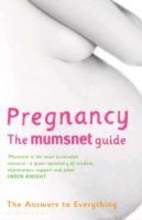 Produktbild: Pregnancy: The Mumsnet Guide