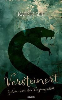 Produktbild: Versteinert