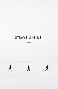Produktbild: Strays Like Us