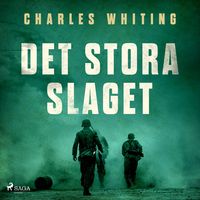 Produktbild: Det stora slaget