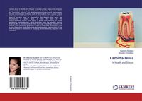 Produktbild: Lamina Dura