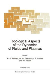 Produktbild: Topological Aspects of the Dynamics of Fluids and Plasmas