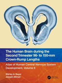Produktbild: The Human Brain during the Second Trimester 96- to 150-mm Crown-Rump Lengths