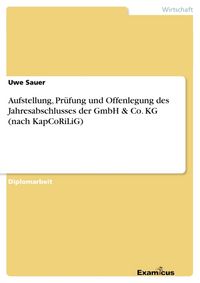 Produktbild: Aufstellung, Pr&uuml;fung und Offenlegung des Jahresabschlusses der GmbH & Co. KG (nach KapCoRiLiG)