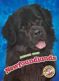 Produktbild: Newfoundlands