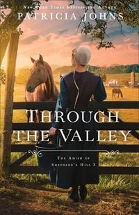 Produktbild: Through the Valley