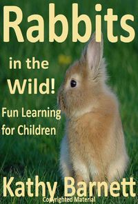Produktbild: Rabbits in the Wild!
