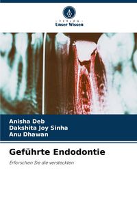 Produktbild: Gef&uuml;hrte Endodontie