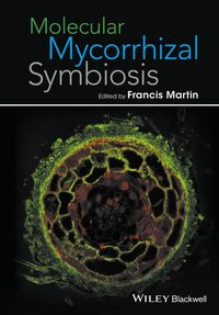 Produktbild: Molecular Mycorrhizal Symbiosis