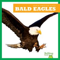 Produktbild: Bald Eagles