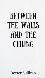 Produktbild: Between the Walls and the Ceiling