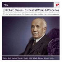 Bild vom Artikel Various: Orchestral Works and Concertos vom Autor Various