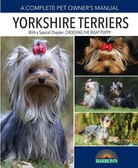Produktbild: Yorkshire Terriers