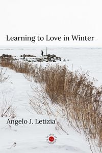 Produktbild: Learning to Love in Winter