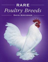 Produktbild: Scrivener, D: Rare Poultry Breeds
