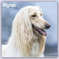 Produktbild: Afghan - Afghanen 2023