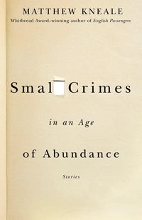 Bild vom Artikel Small Crimes in an Age of Abundance vom Autor Matthew Kneale