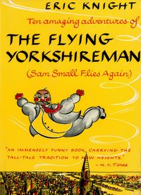 Produktbild: Sam Small Flies Again: The Amazing adventures of the Flying Yorkshireman