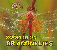 Produktbild: Zoom in On Dragonflies
