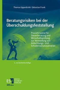 Produktbild: Beratungsrisiken bei der &Uuml;berschuldungsfeststellung