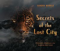Produktbild: Secrets of the Lost City