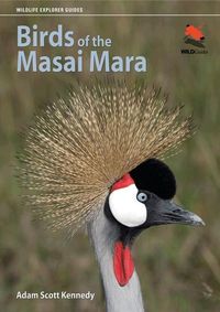 Produktbild: Birds of the Masai Mara