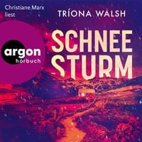 Produktbild: Schneesturm