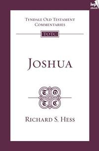 Produktbild: TOTC Joshua