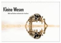 Produktbild: Kleine Wesen &ndash; Makroaufnahmen von einheimischen Insekten (Wandkalender 2027 DIN A3 quer), CALVENDO Monatskalender