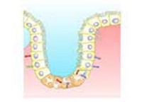 Produktbild: Estimation of Serum Alkaline Phosphatase