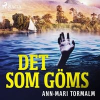 Produktbild: Det som g&ouml;ms