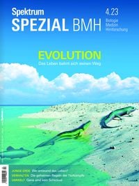 Bild vom Artikel Spektrum Spezial BMH - Evolution vom Autor Spektrum der Wissenschaft