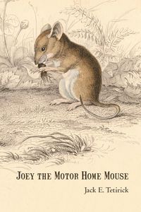 Produktbild: Joey the Motor Home Mouse