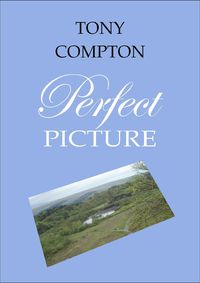 Produktbild: Perfect Picture