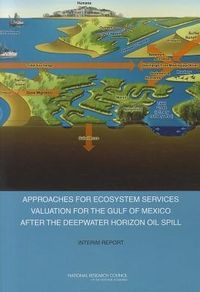 Produktbild: Approaches for Ecosystem Services Valuation for the Gulf of Mexico After the Deepwater Horizon Oil Spill