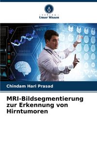 Produktbild: MRI-Bildsegmentierung zur Erkennung von Hirntumoren