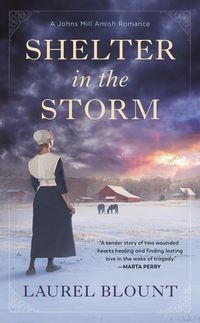 Produktbild: Shelter in the Storm