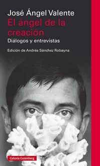 Produktbild: El &aacute;ngel de la creaci&oacute;n : di&aacute;logos y entrevistas