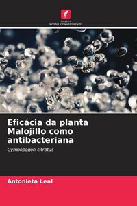 Produktbild: Efic&aacute;cia da planta Malojillo como antibacteriana