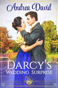 Produktbild: Darcy's Wedding Surprise: Steamy Pride and Prejudice Variation (Mr. Darcy's Secret Stories)