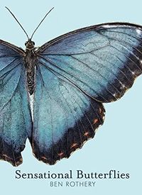 Produktbild: Sensational Butterflies