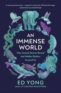Produktbild: An Immense World