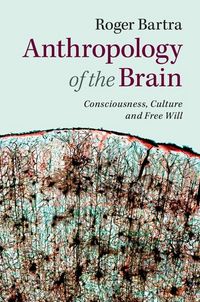 Produktbild: Anthropology of the Brain