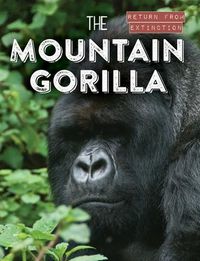 Produktbild: The Mountain Gorilla