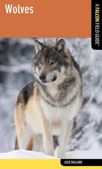 Produktbild: Wolves