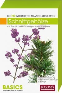 Produktbild: Schnittgeh&ouml;lze