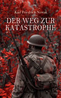 Produktbild: Der Weg zur Katastrophe