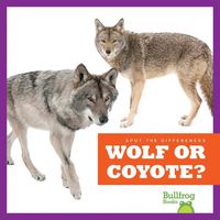 Produktbild: Wolf or Coyote?